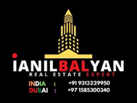 ianil-balyan-logo